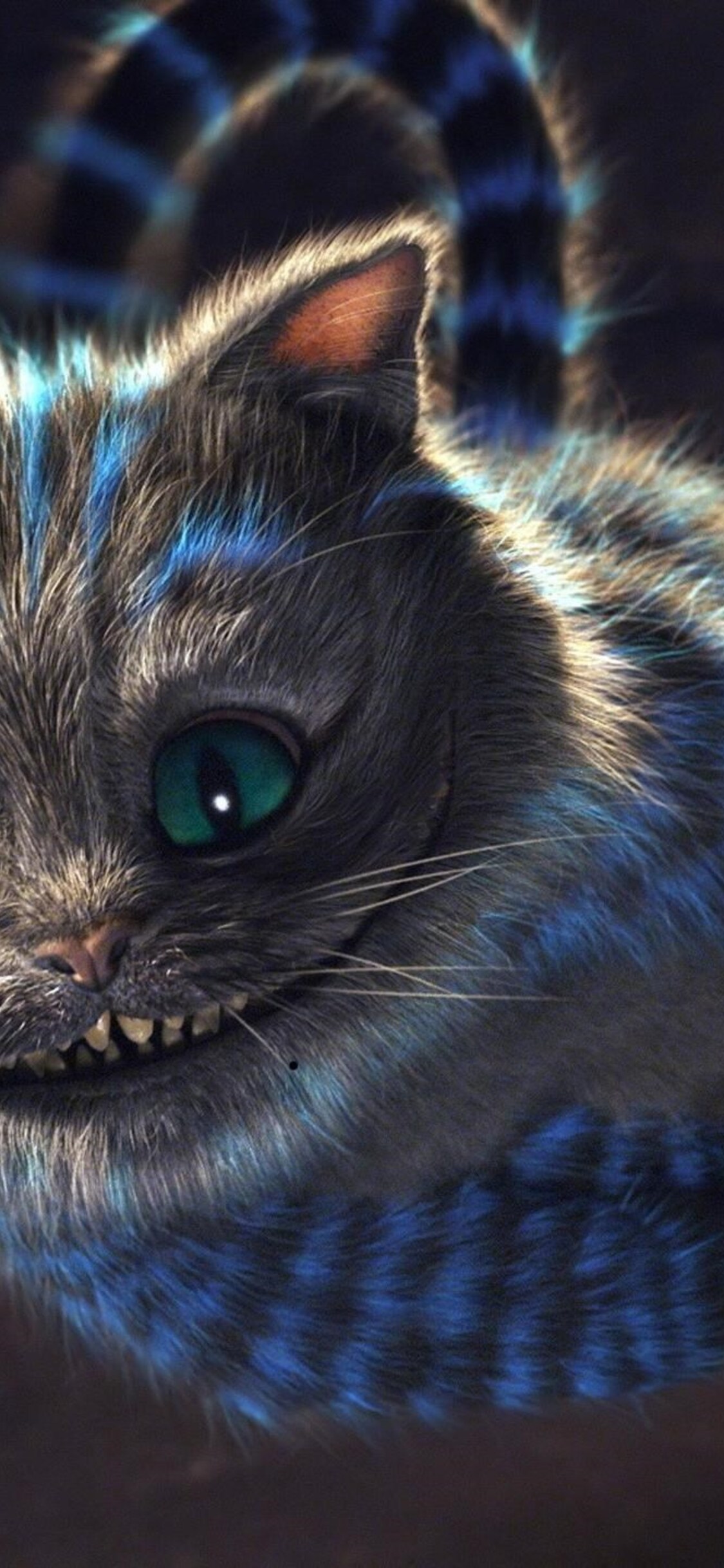 Cute Cheshire Cat Wallpapers