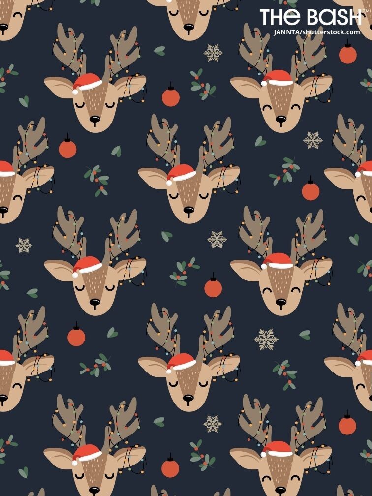 Cute Christmas Reindeer Wallpapers