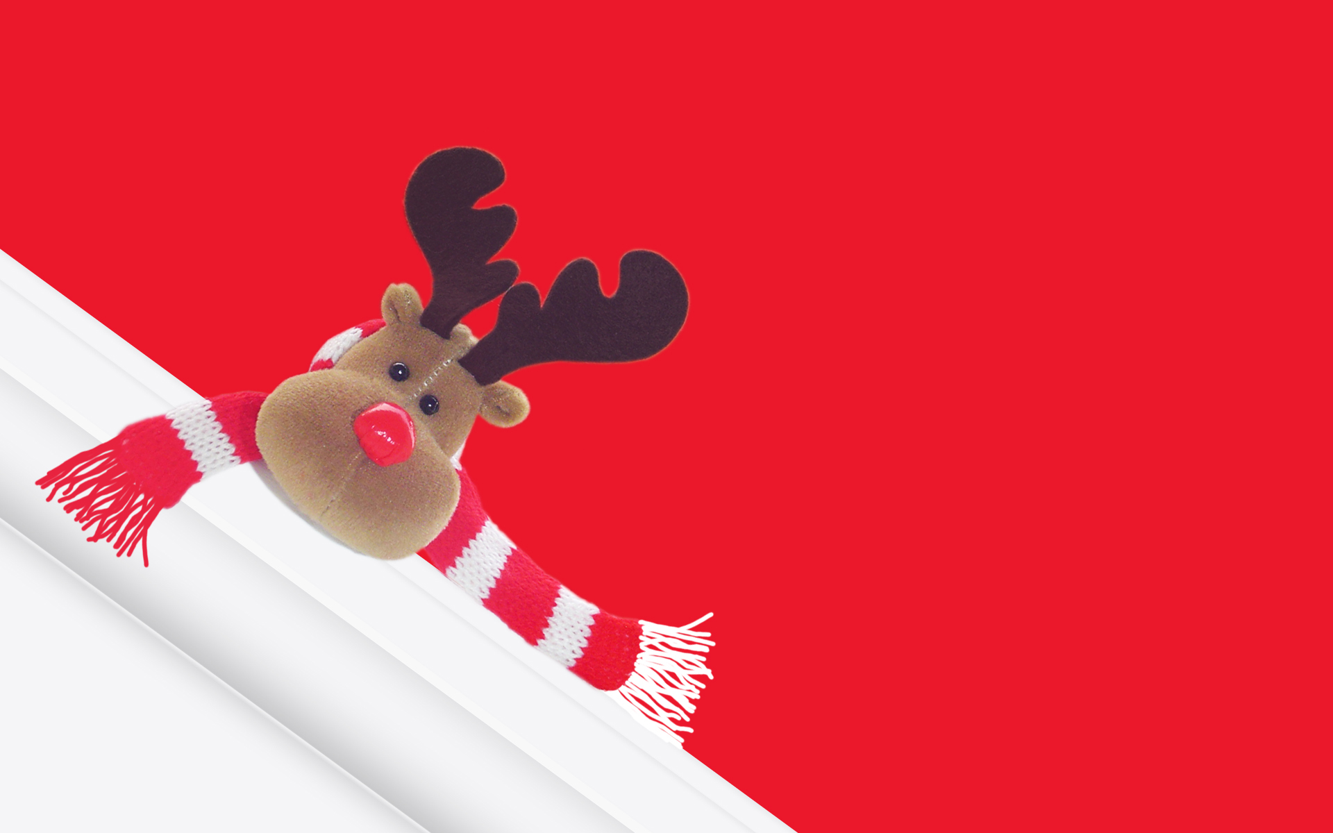 Cute Christmas Reindeer Wallpapers