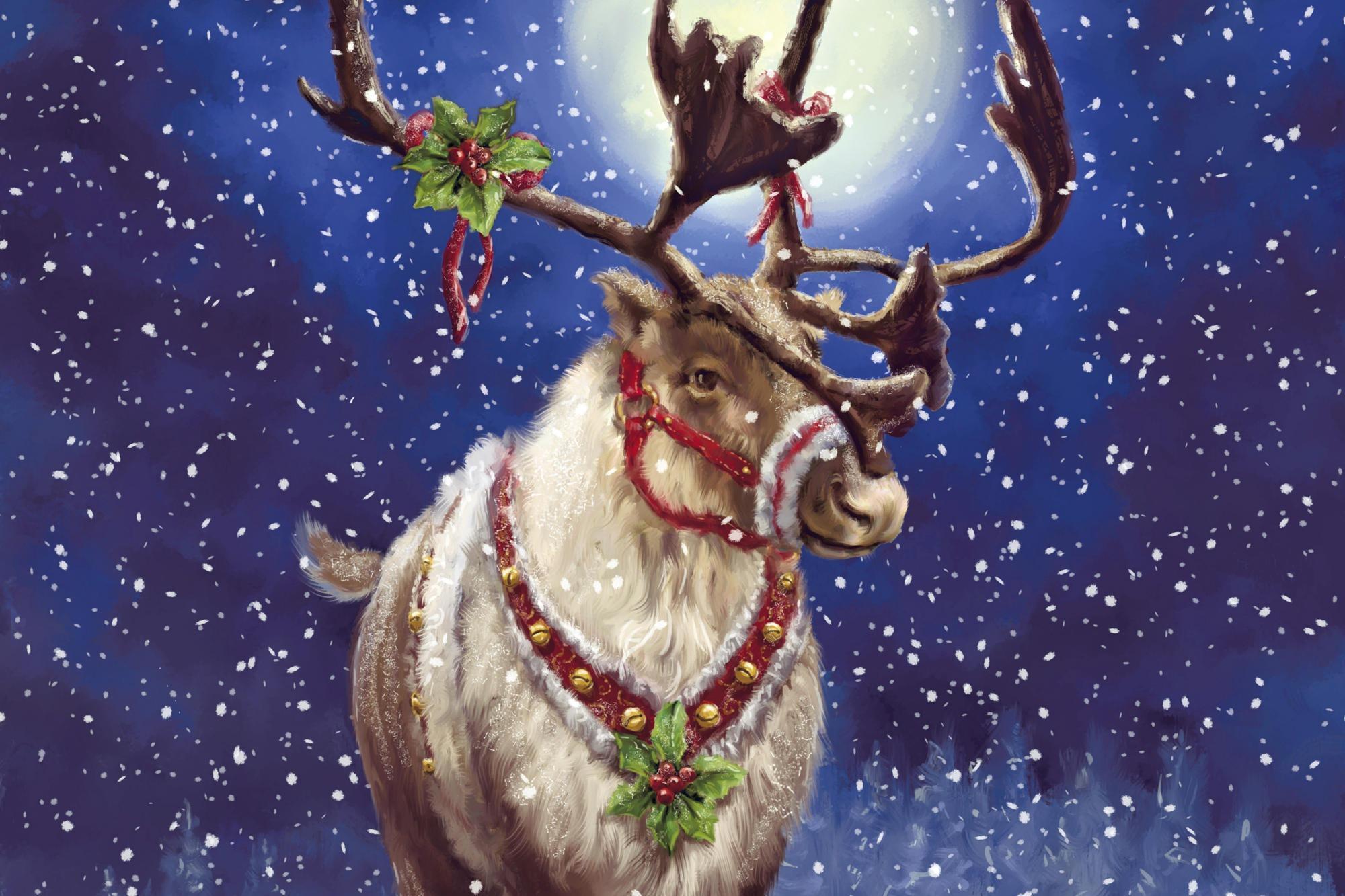 Cute Christmas Reindeer Wallpapers