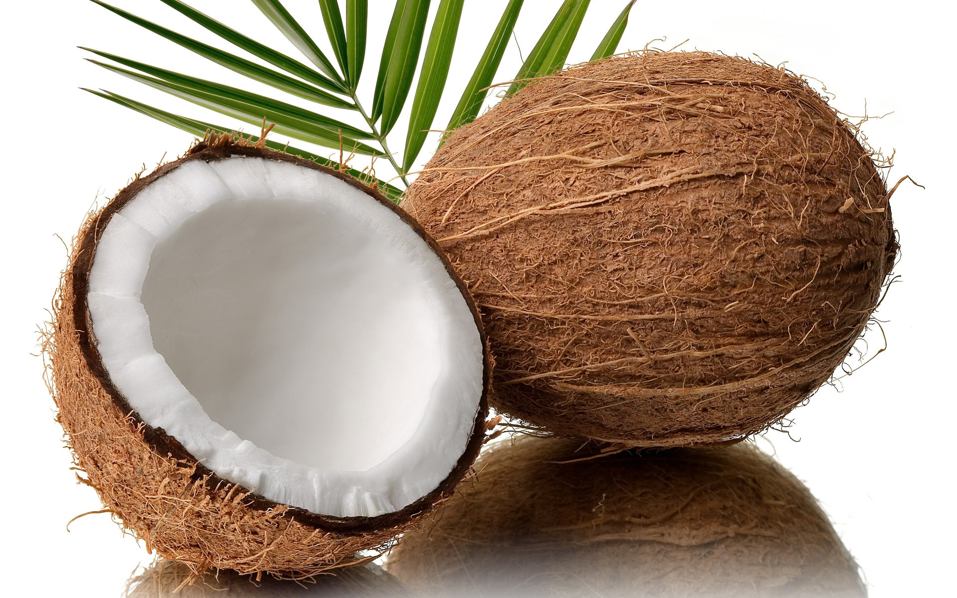 Cute Coconut Wallpapers