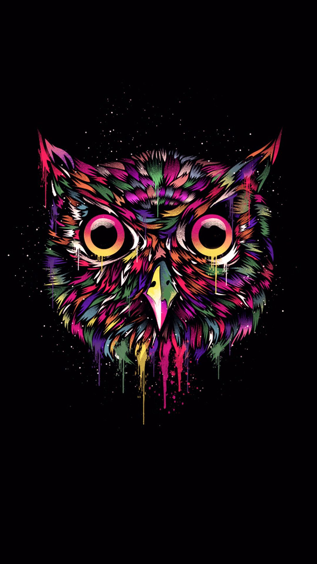 Cute Colorful Owl Wallpapers Wallpapers