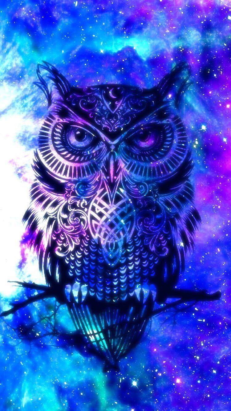 Cute Colorful Owl Wallpapers Wallpapers