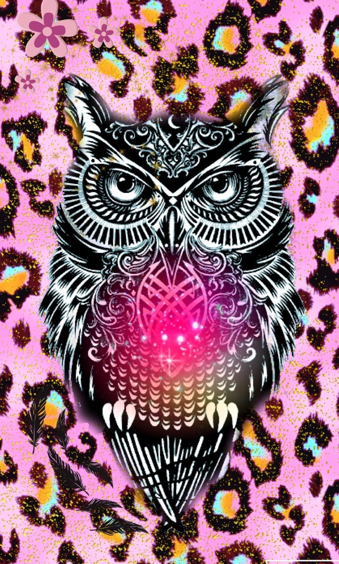 Cute Colorful Owl Wallpapers Wallpapers