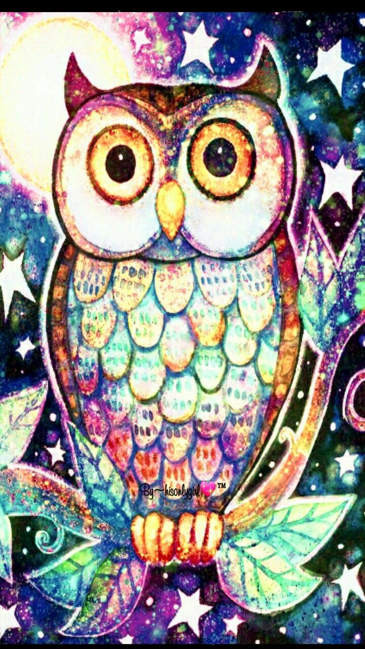 Cute Colorful Owl Wallpapers Wallpapers