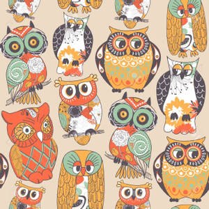Cute Colorful Owl Wallpapers Wallpapers