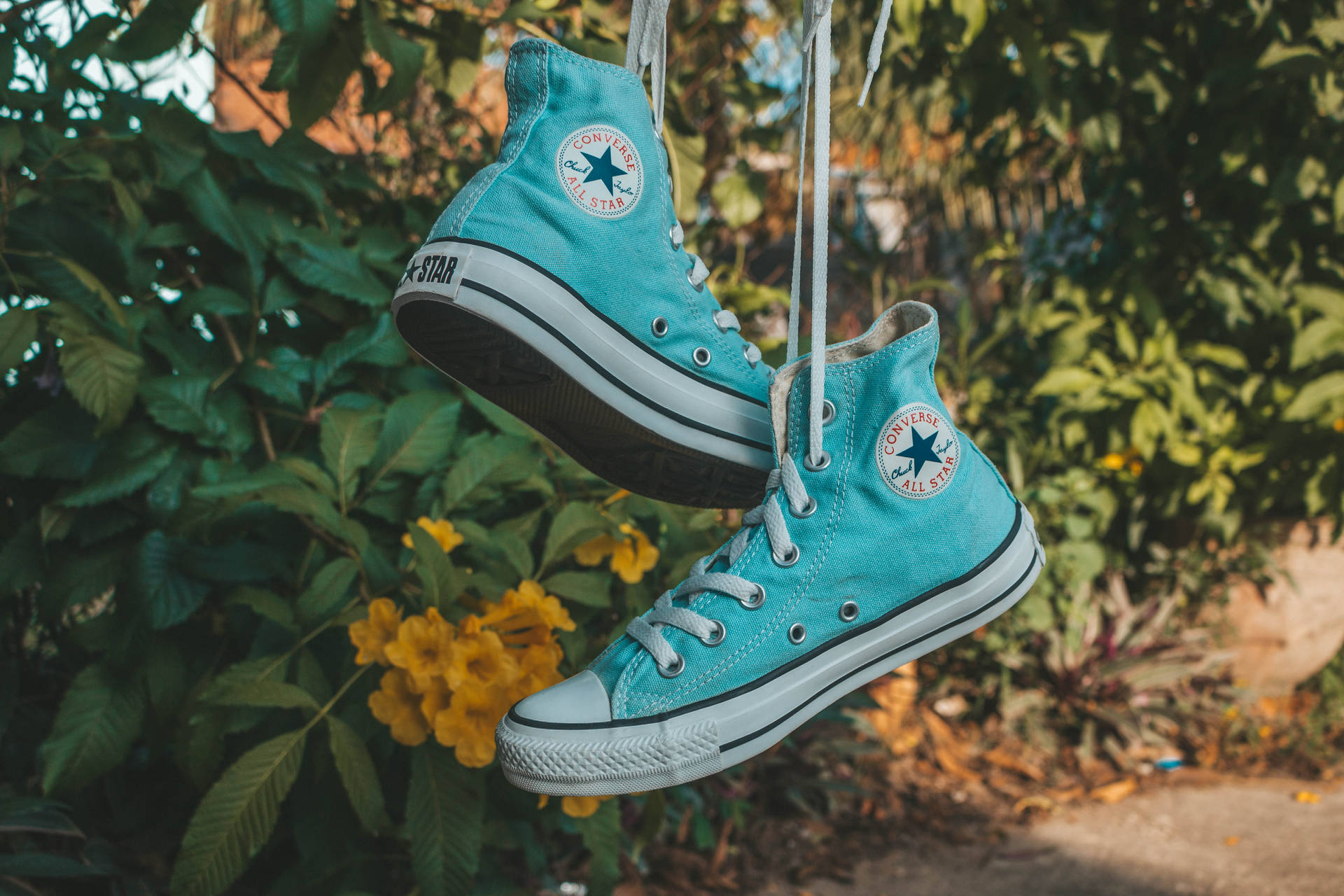 Cute Converse Wallpapers Wallpapers