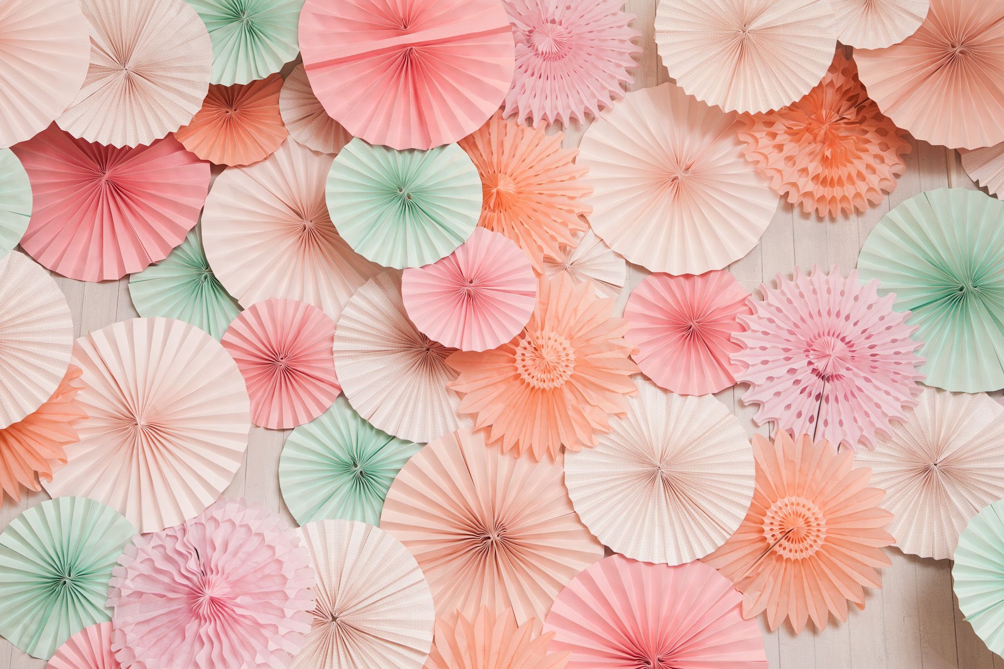 Cute Coral Pink Wallpapers
