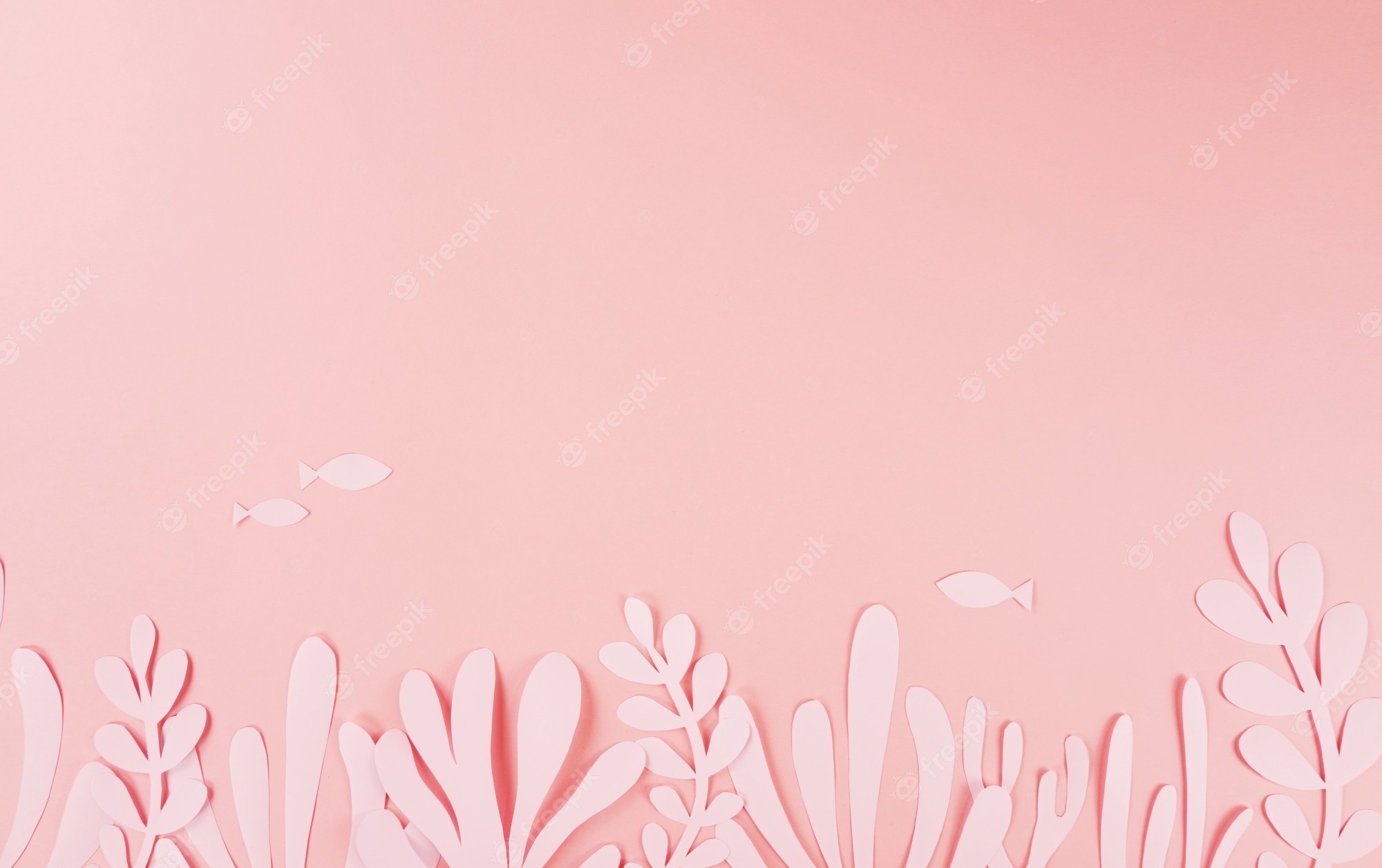 Cute Coral Pink Wallpapers