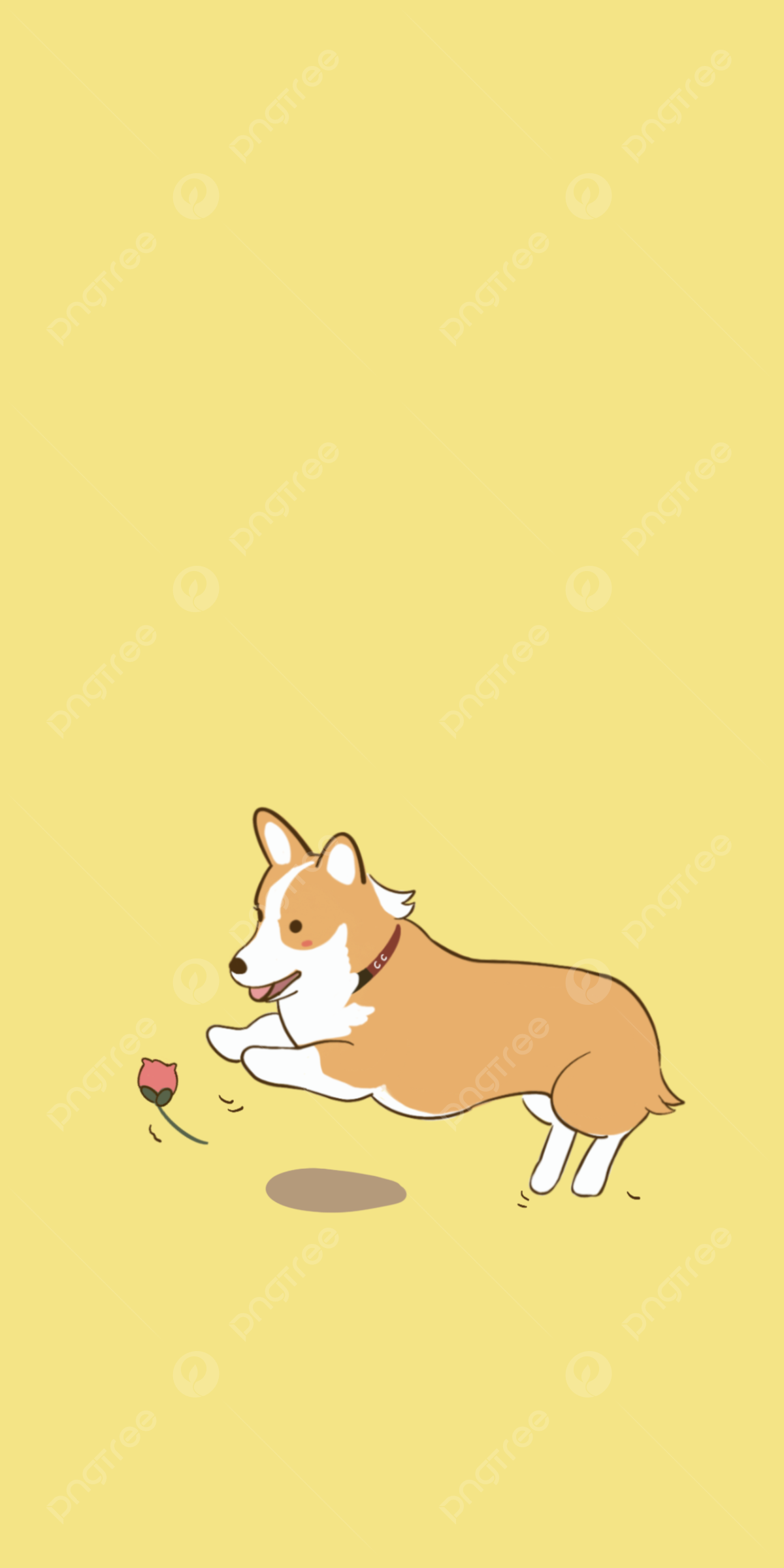 Cute Corgi Wallpapers Wallpapers