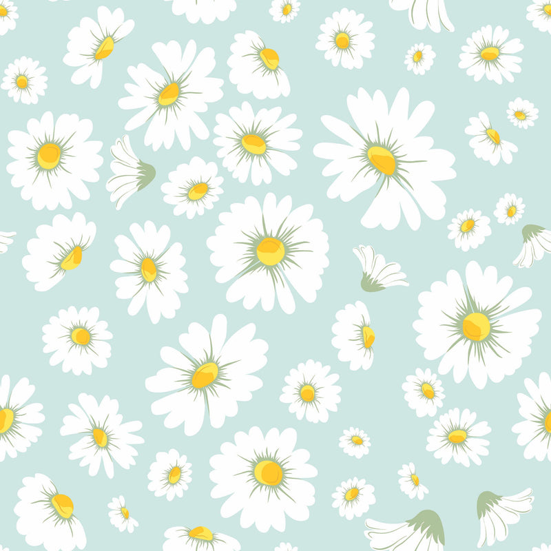 Cute Daisy Wallpapers