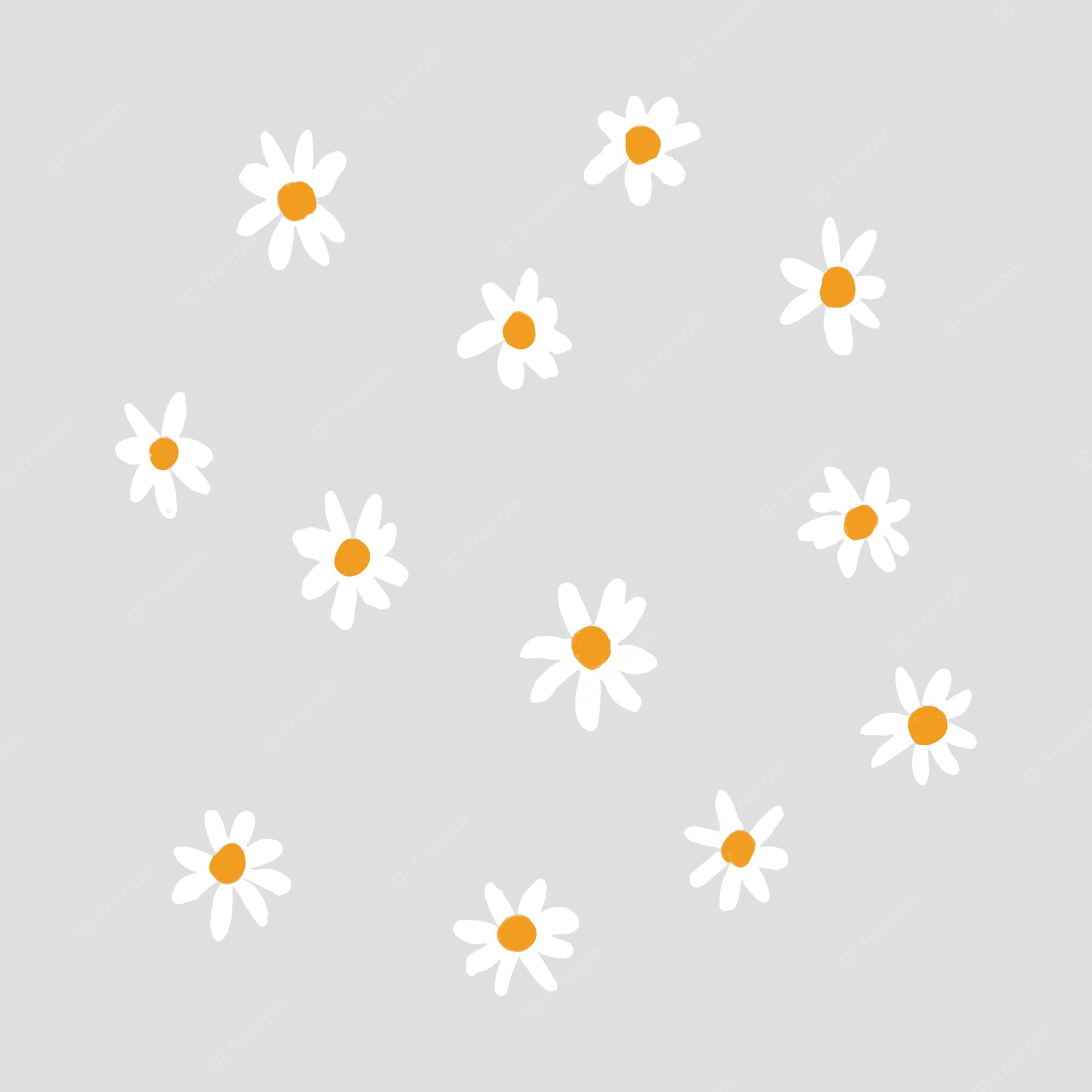 Cute Daisy Wallpapers