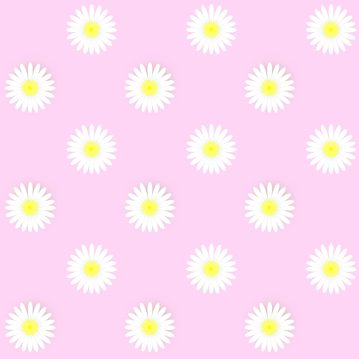 Cute Daisy Wallpapers