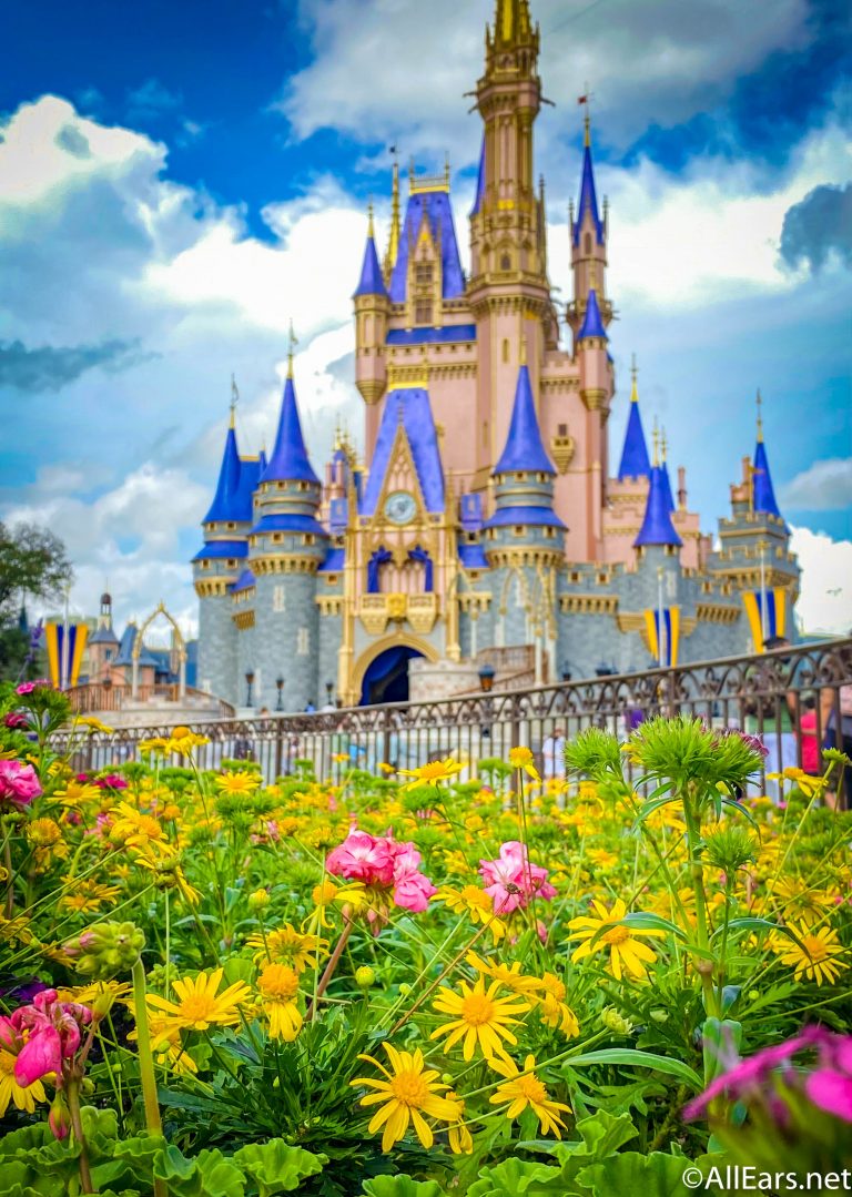 Cute Disney Castle Wallpapers