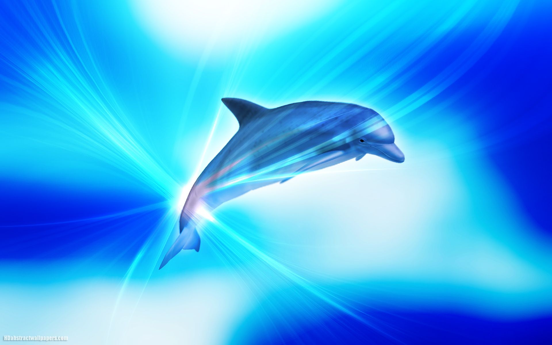 Cute Dolphin Wallpapers