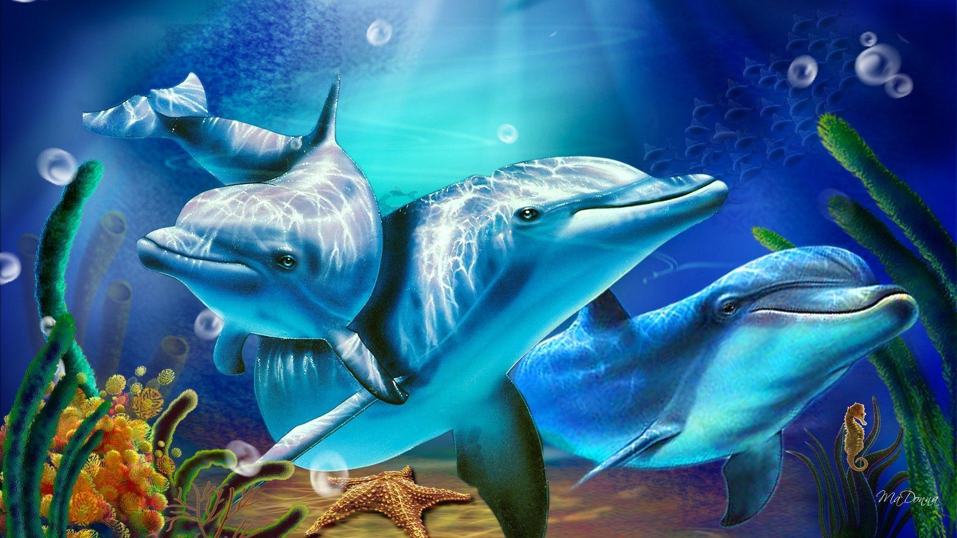 Cute Dolphin Wallpapers