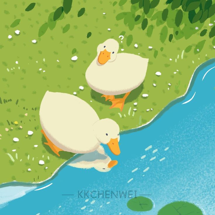 Cute Duck Drawing Wallpapers