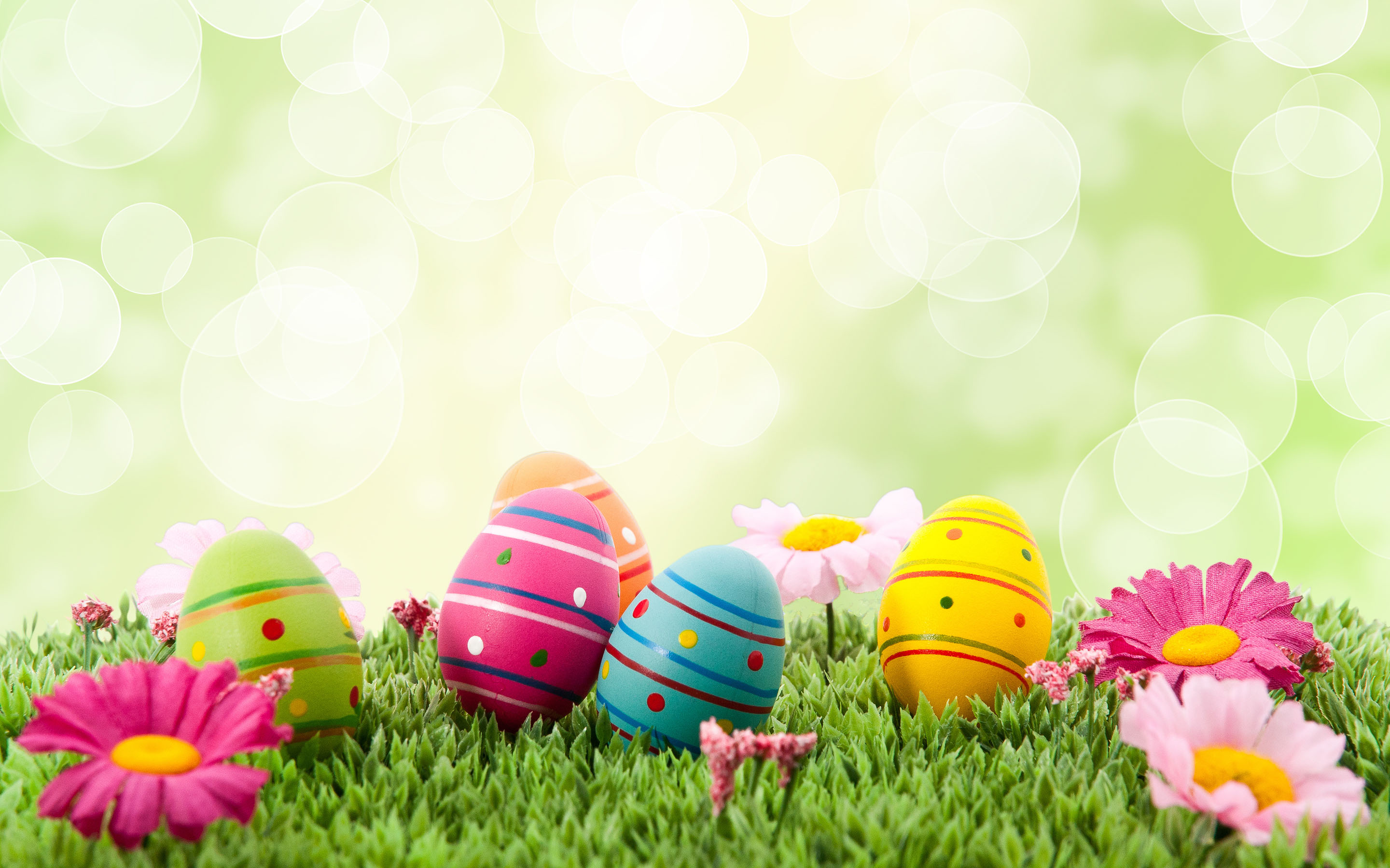 Cute Easter Wallpapers