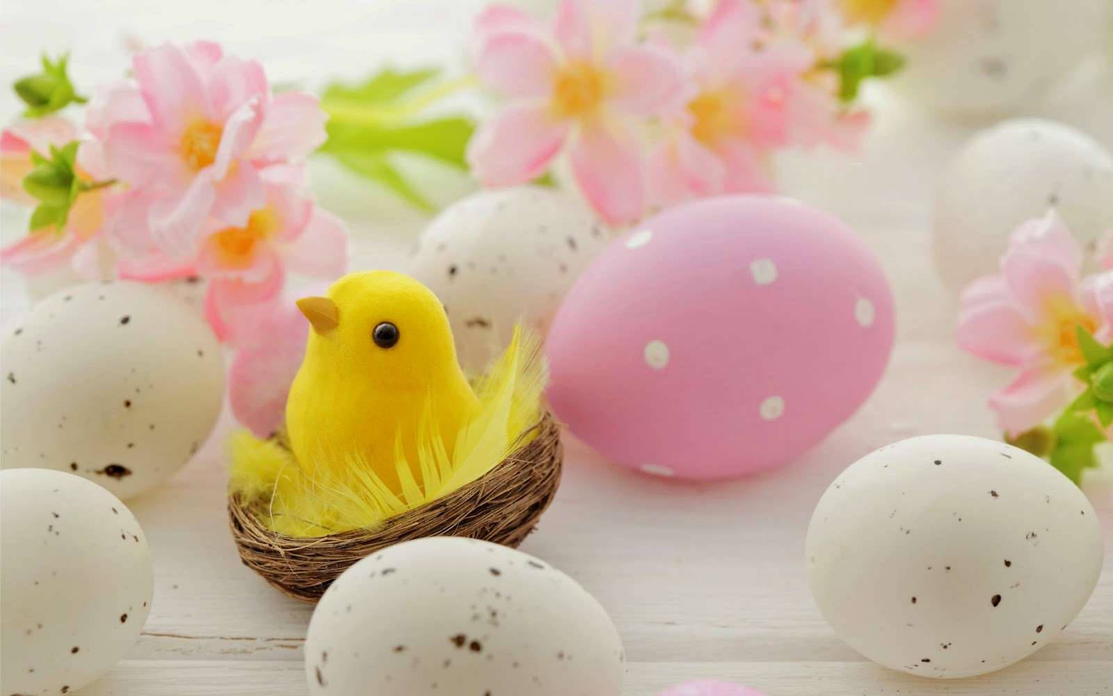 Cute Easter Wallpapers