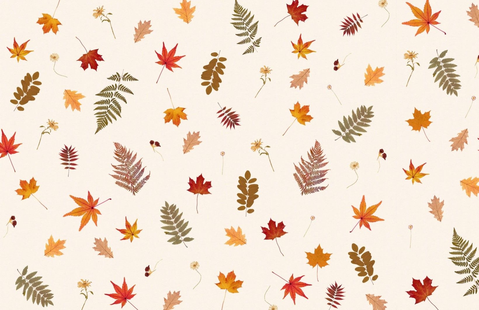 Cute Fall Pattern Wallpapers