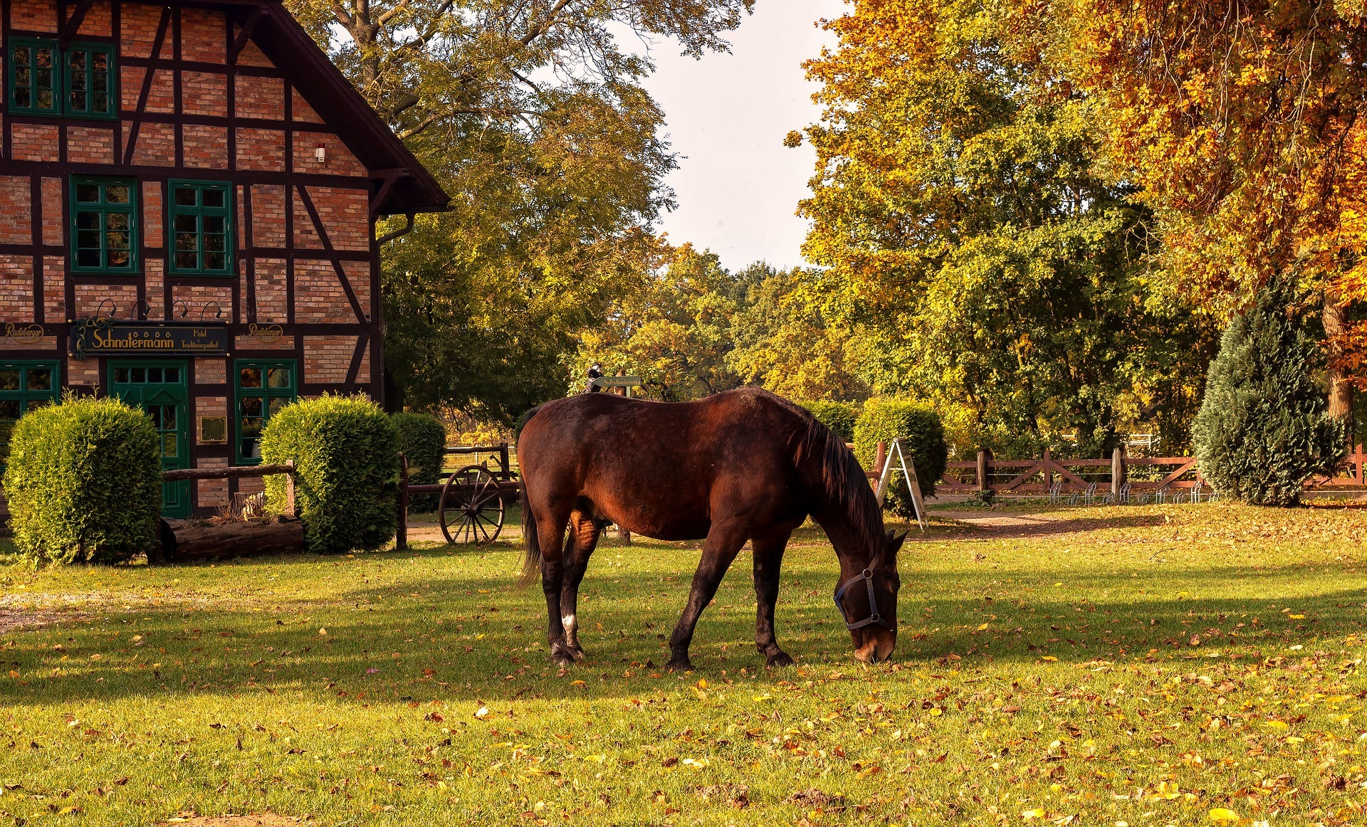 Cute Farm Desktop Wallpapers