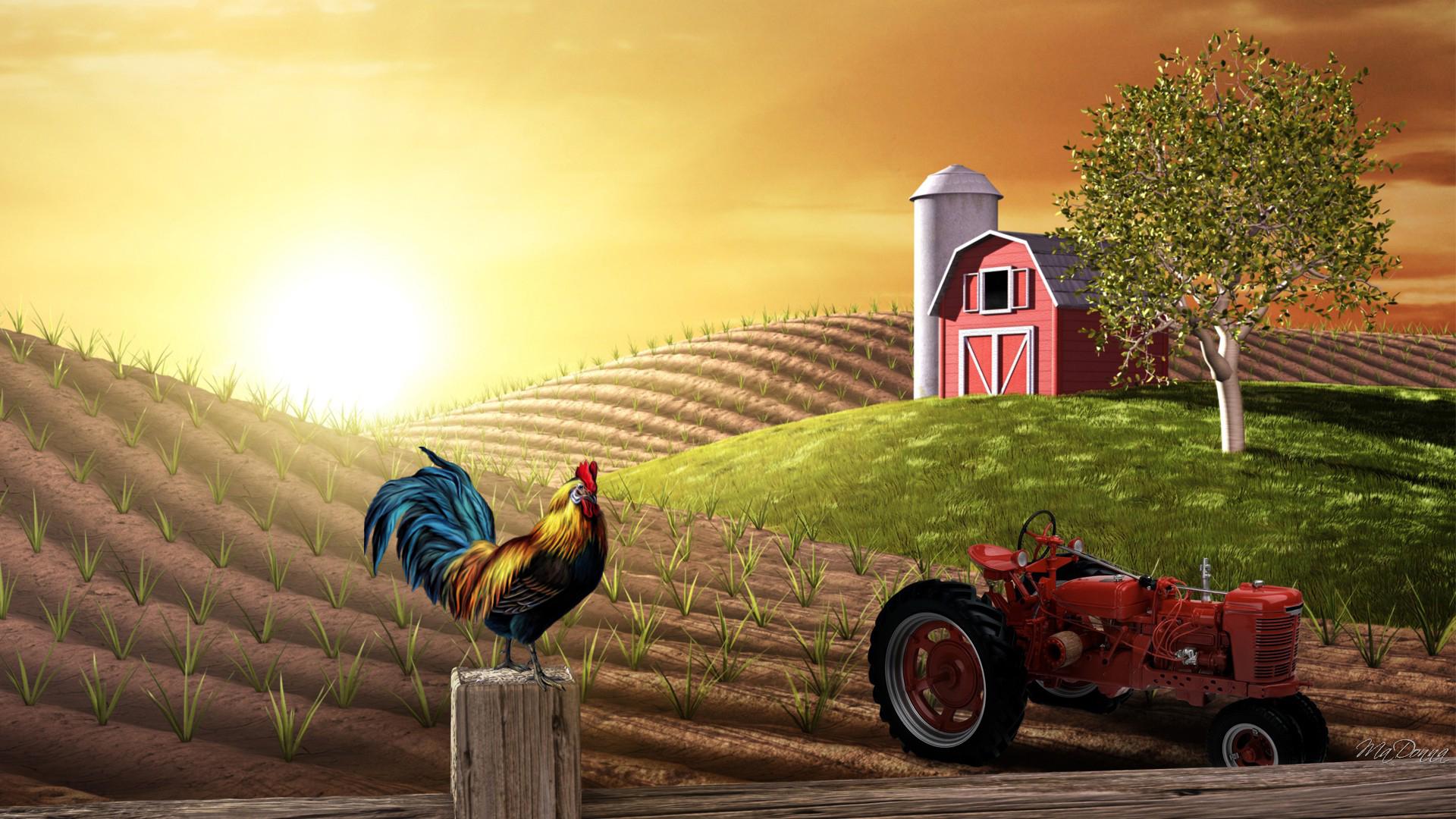 Cute Farm Desktop Wallpapers