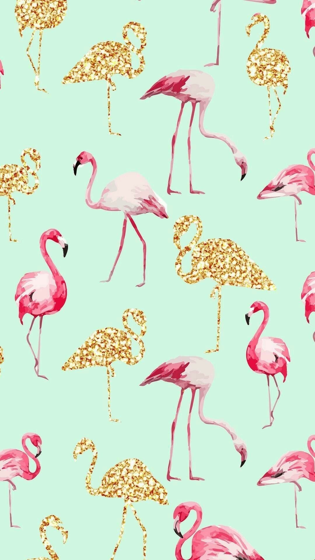 Cute Flamingo Wallpapers