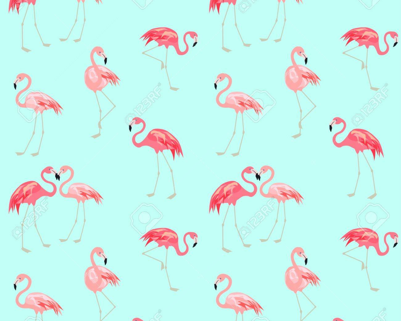 Cute Flamingo Wallpapers