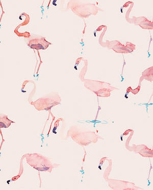 Cute Flamingo Wallpapers