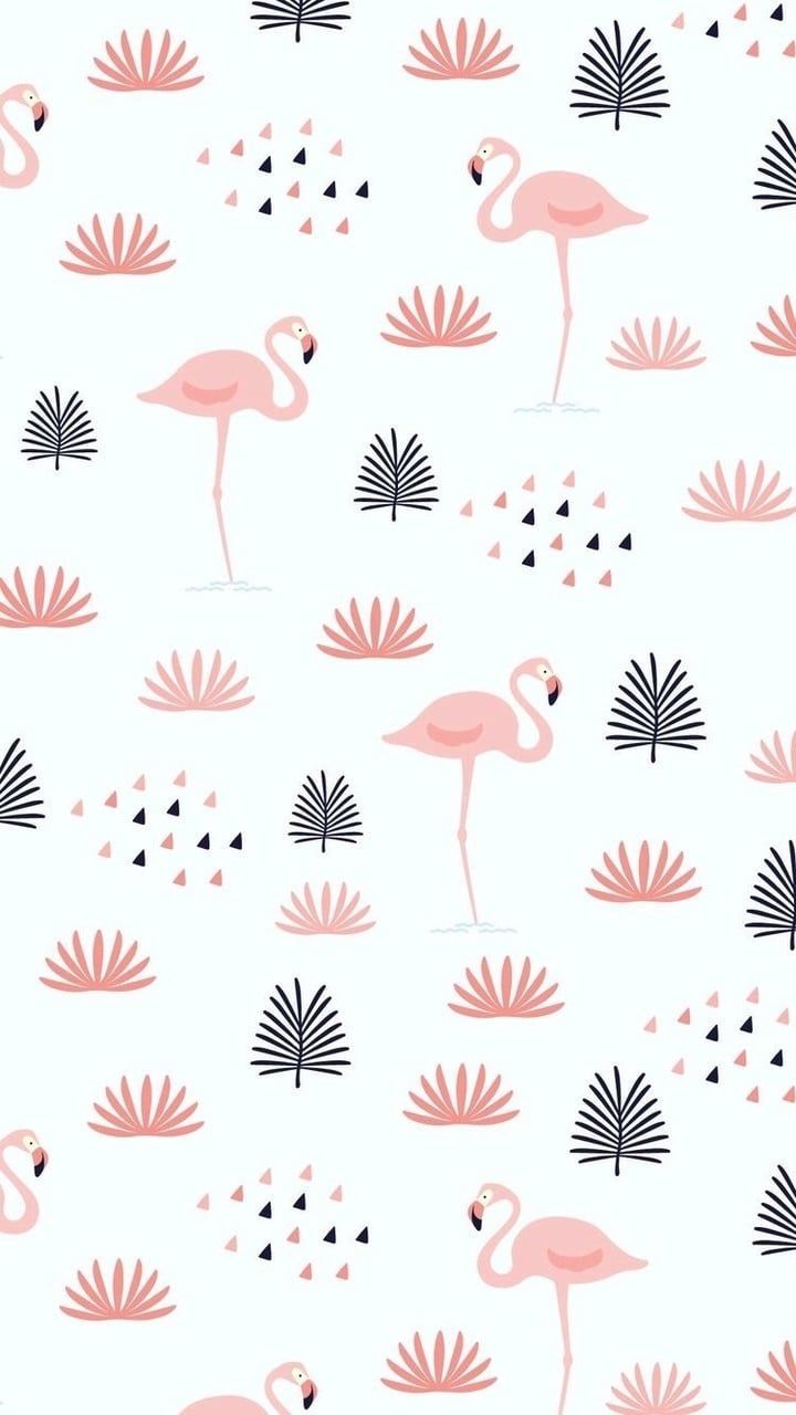 Cute Flamingo Wallpapers Wallpapers