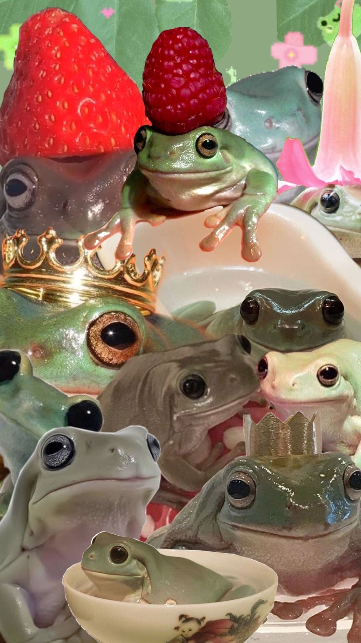 Cute Frogs Wallpapers