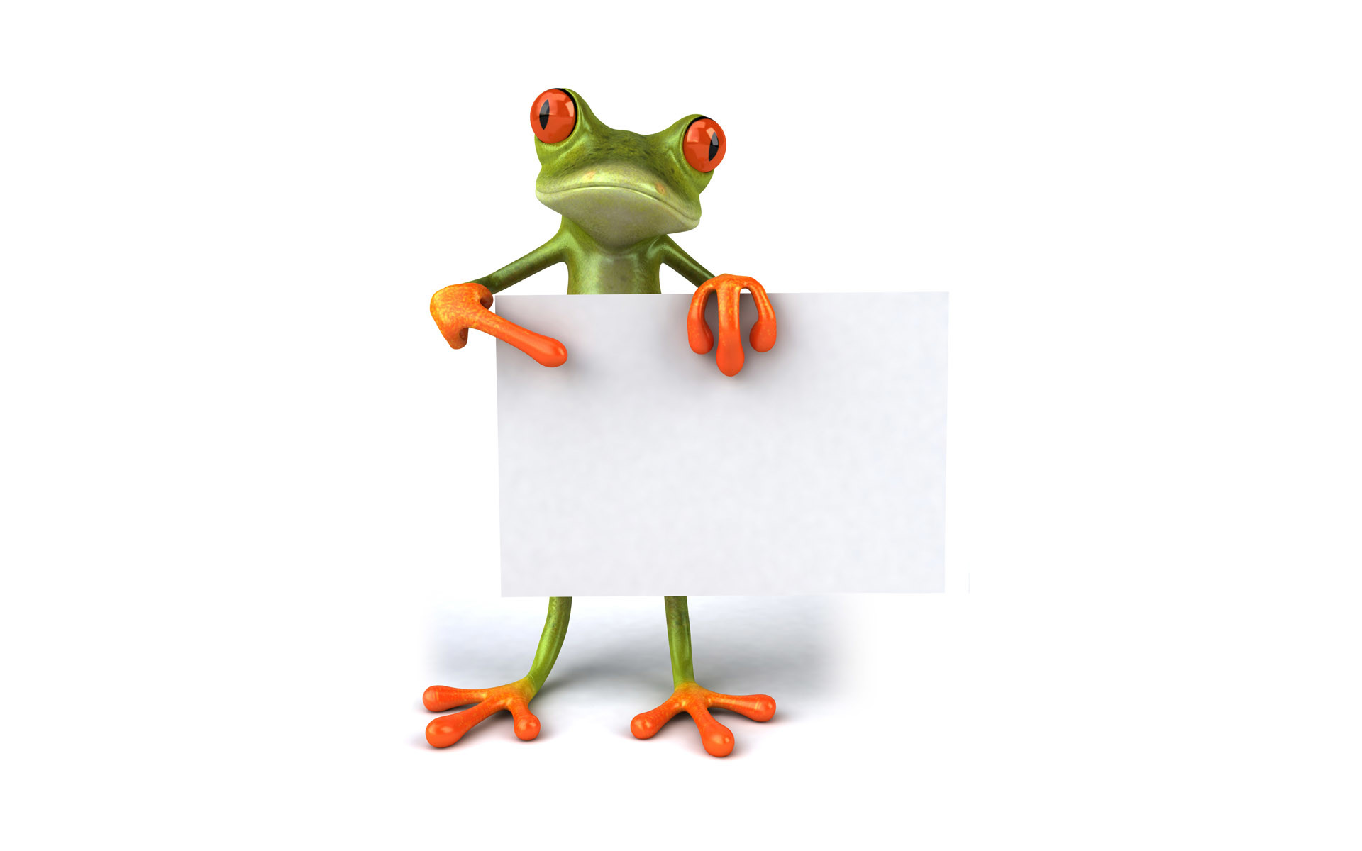 Cute Frogs Wallpapers