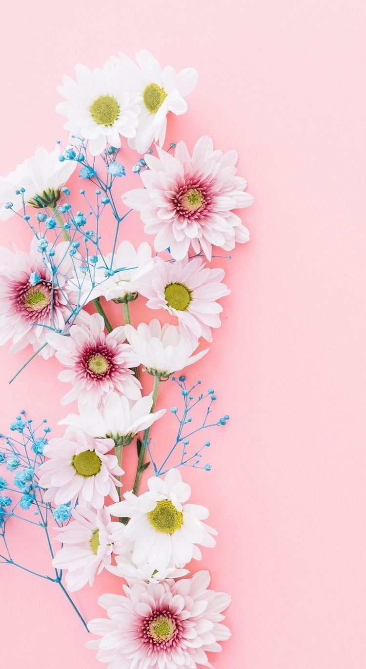 Cute Girly Flower Wallpapers