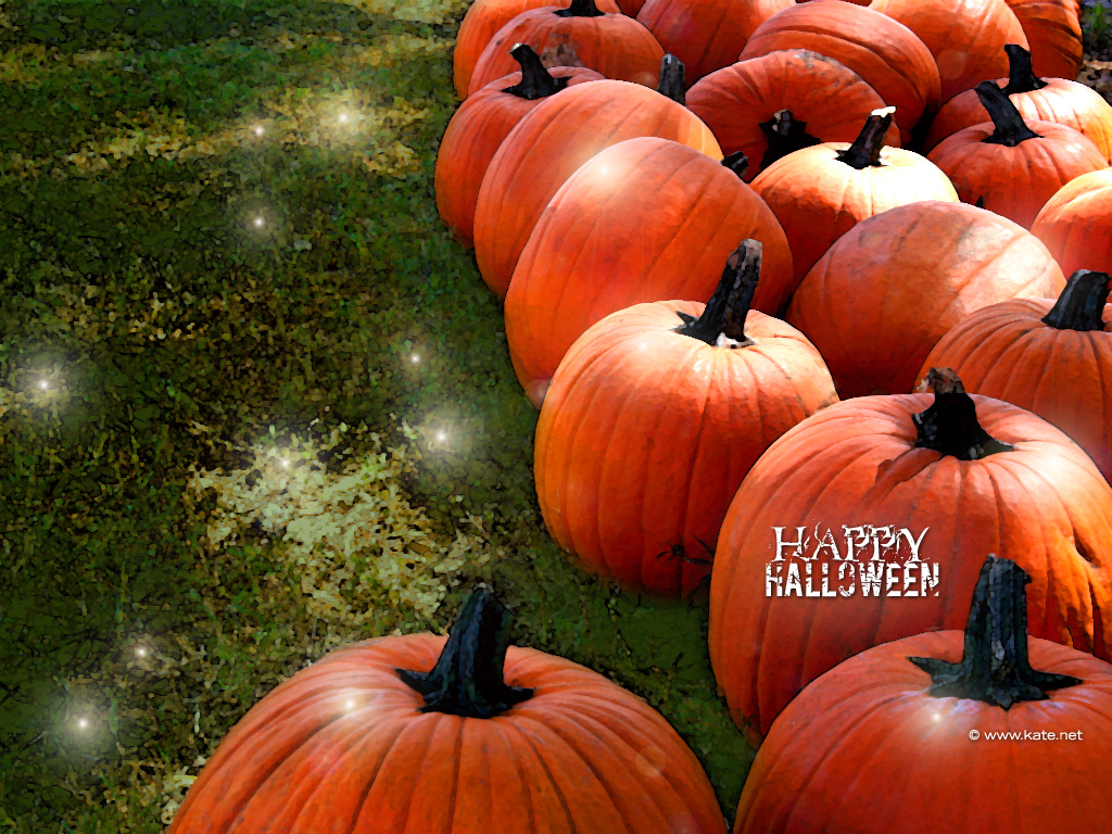 Cute Halloween Pumpkin Wallpapers Wallpapers