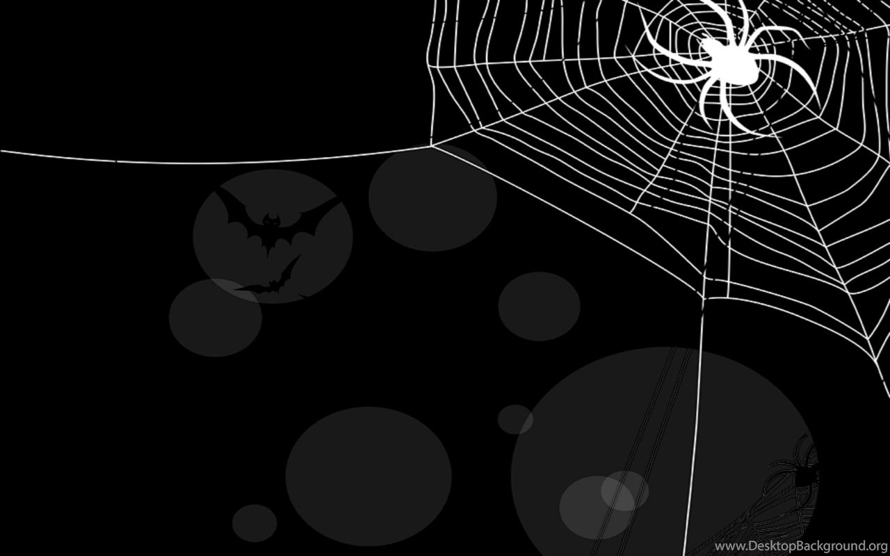 Cute Halloween Spider Wallpapers Wallpapers