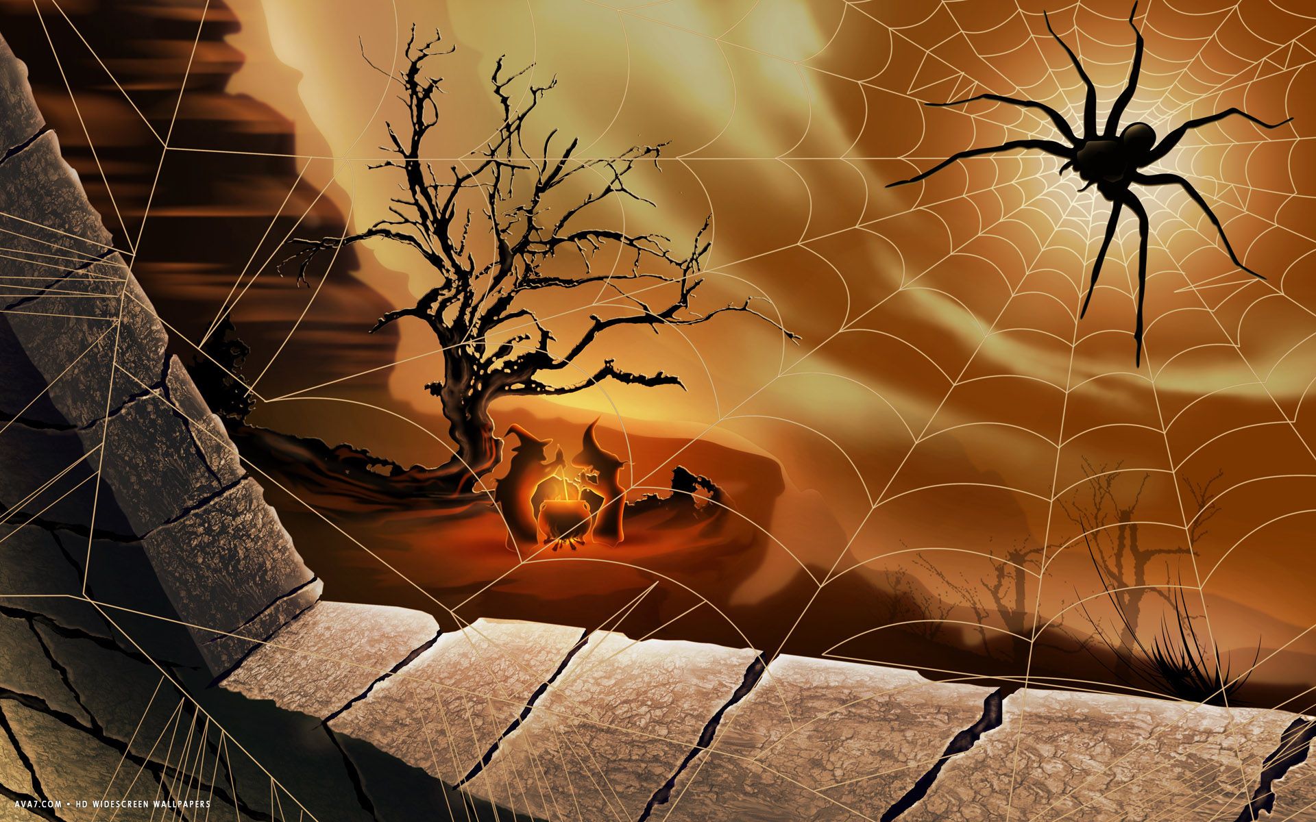 Cute Halloween Spider Wallpapers Wallpapers