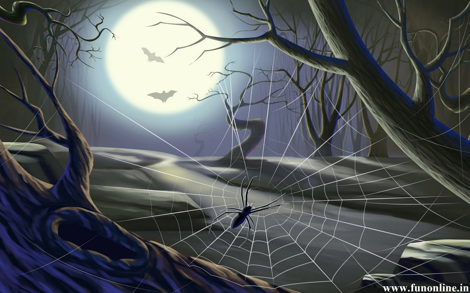 Cute Halloween Spider Wallpapers Wallpapers