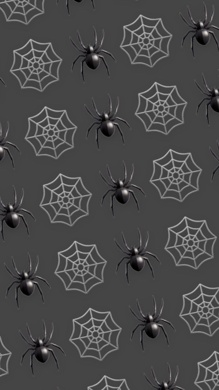 Cute Halloween Spider Wallpapers Wallpapers