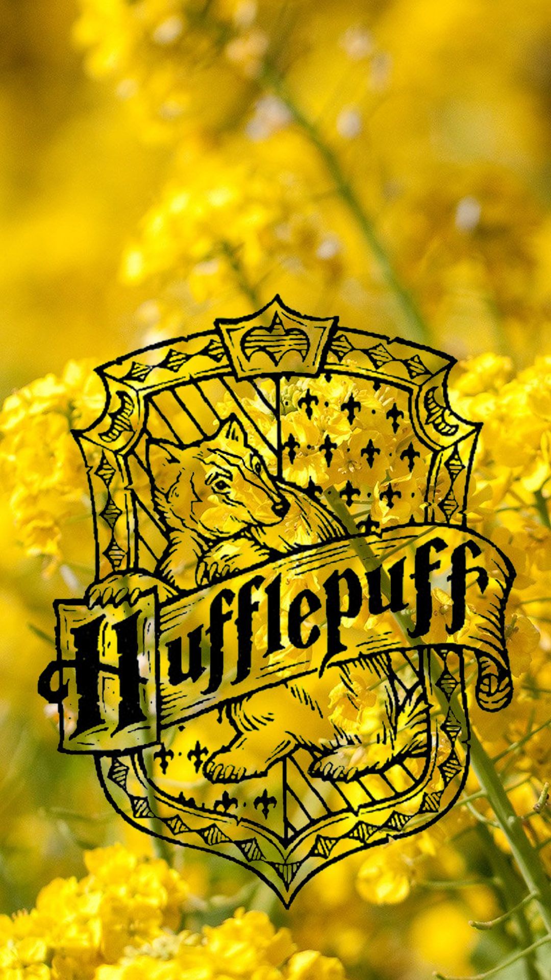 Cute Harry Potter Hufflepuff Computer Wallpapers Wallpapers