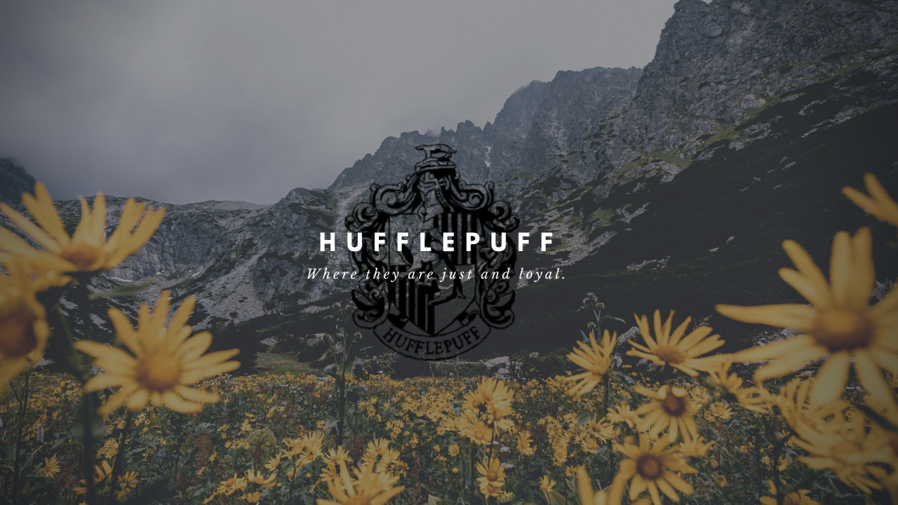 Cute Harry Potter Hufflepuff Computer Wallpapers Wallpapers