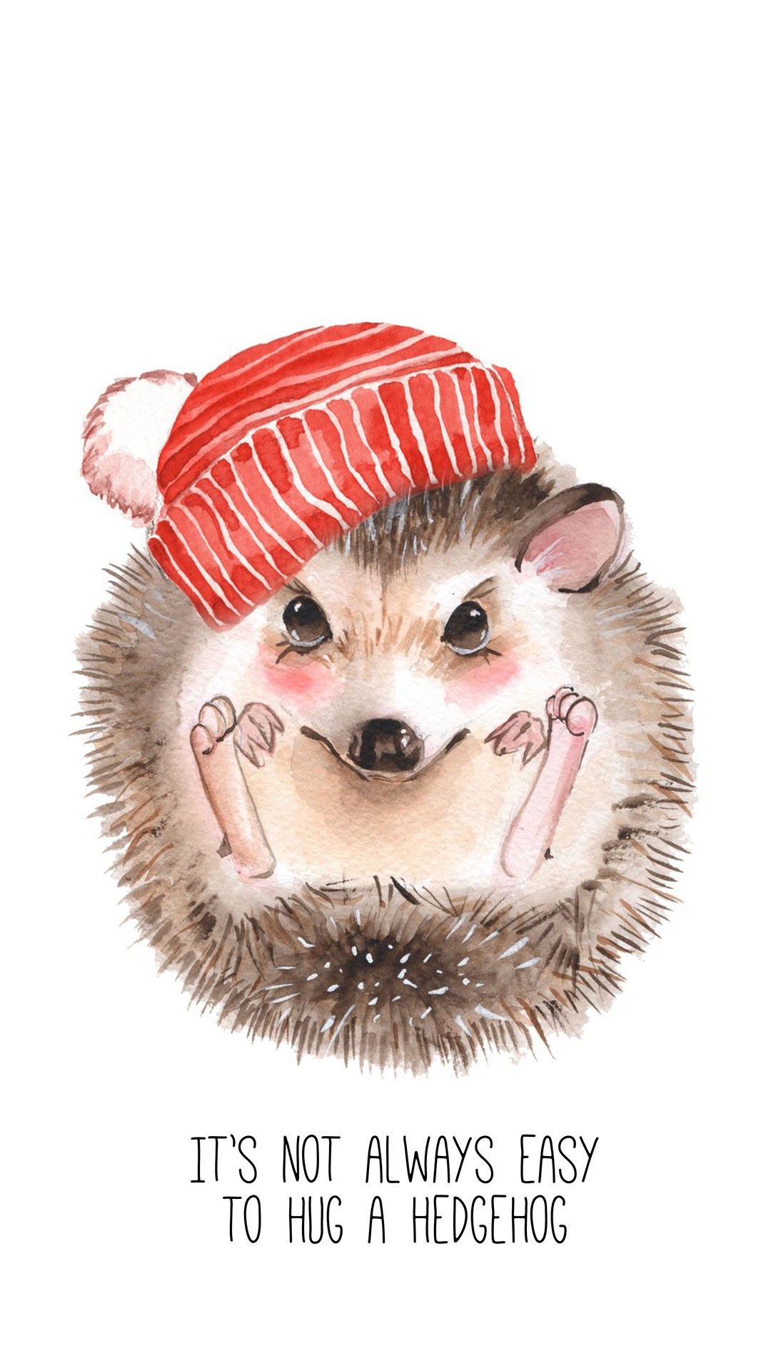 Cute Hedgehog Wallpapers