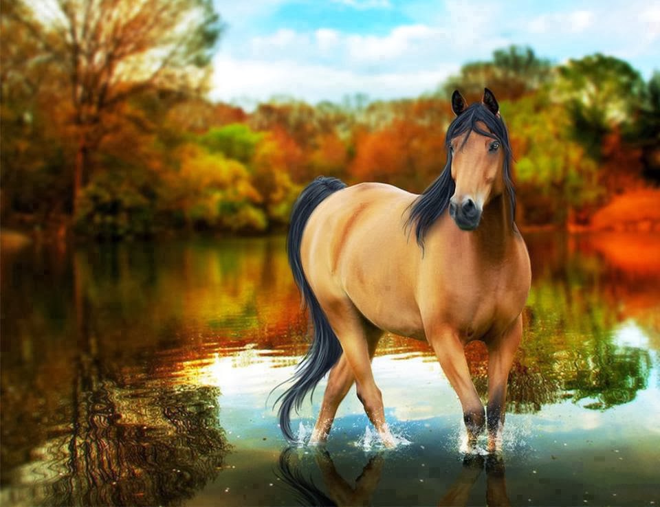 Cute Horse Wallpapers