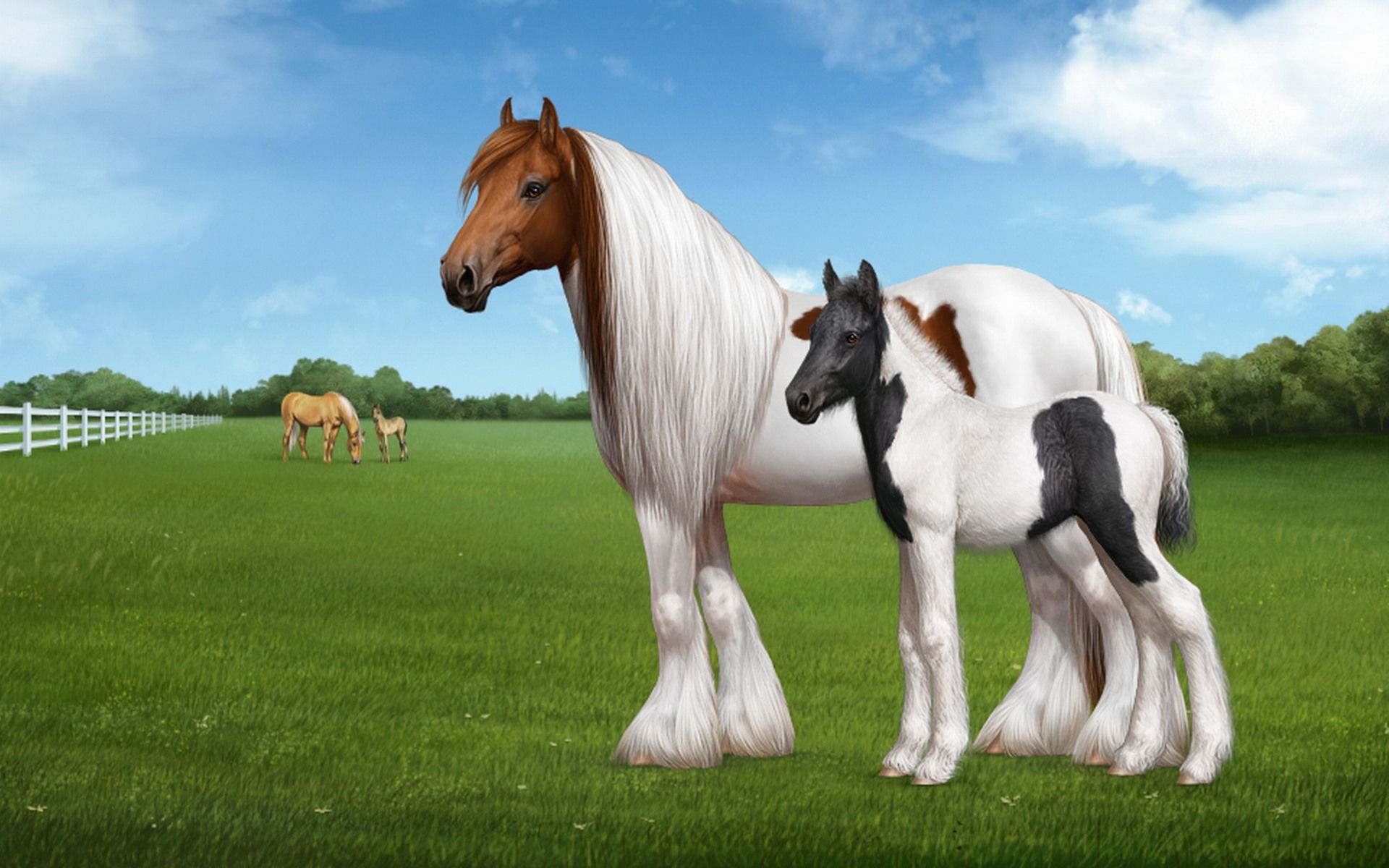 Cute Horse Wallpapers