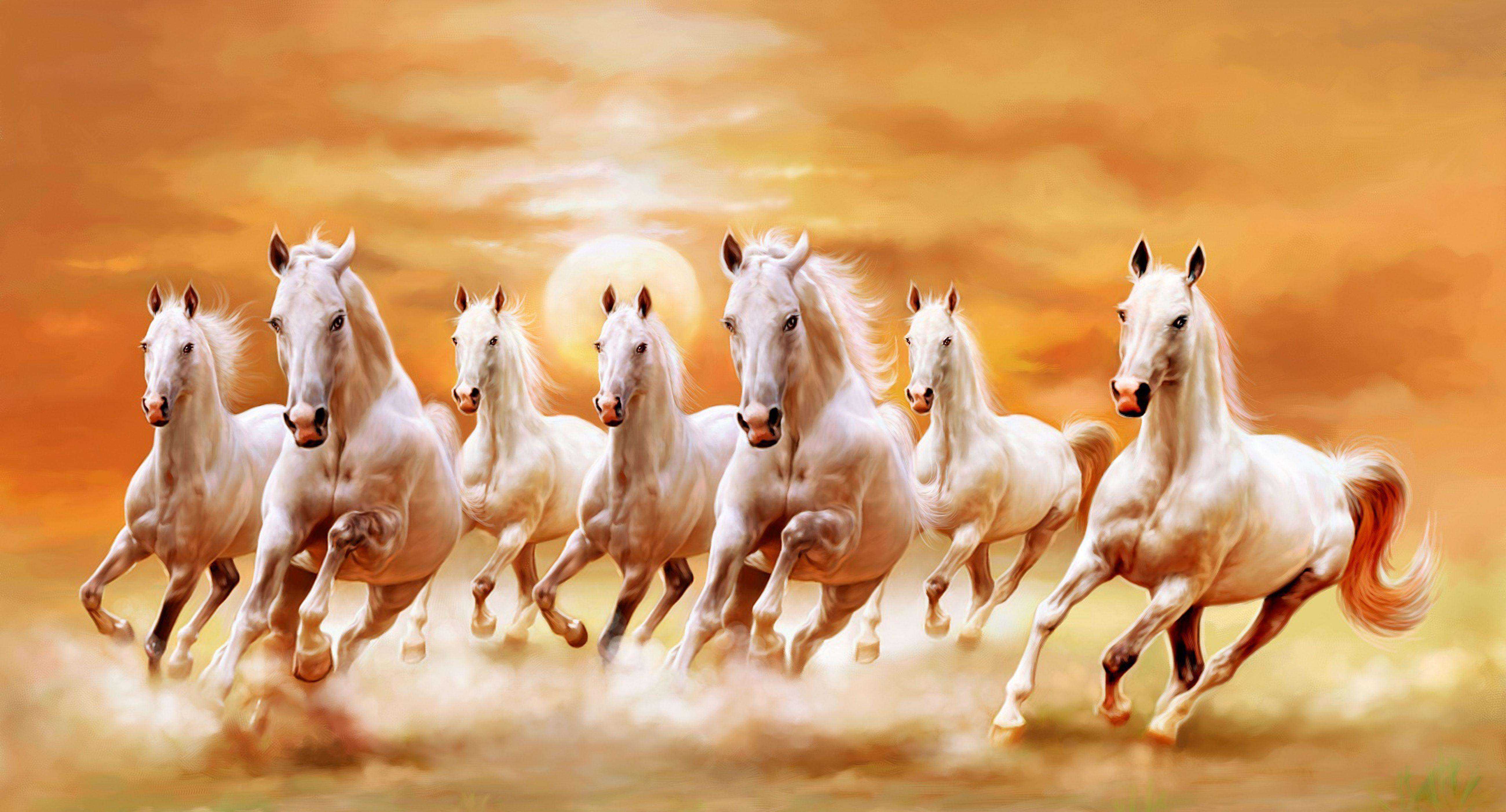 Cute Horses Wallpapers Wallpapers