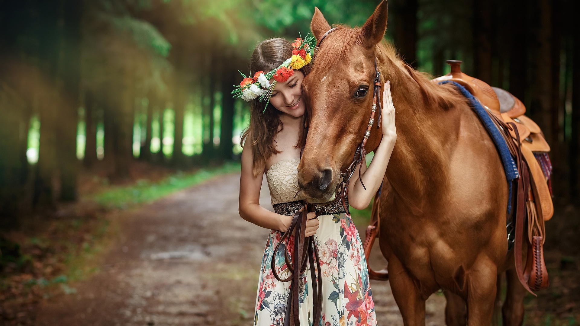 Cute Horses Wallpapers Wallpapers