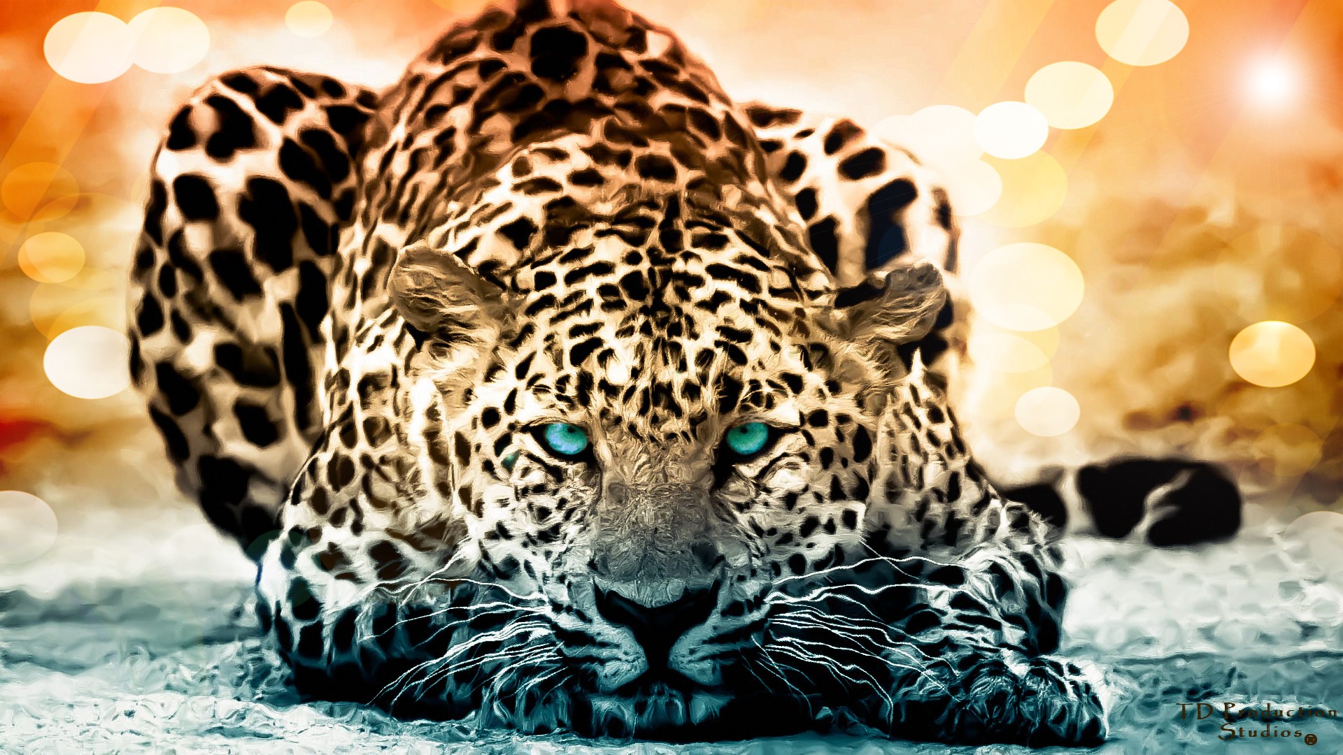 Cute Jaguar Wallpapers