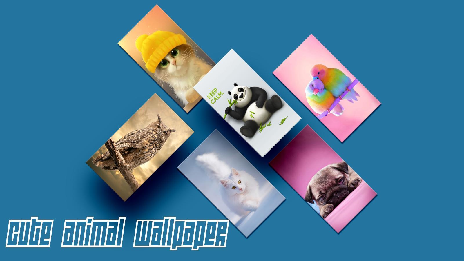 Cute Kawaii Animals Wallpapers Wallpapers