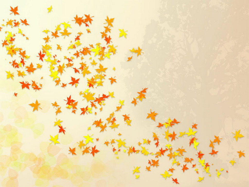 Cute Leaves Wallpapers