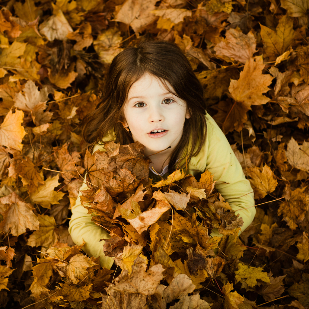 Cute Leaves Wallpapers Wallpapers