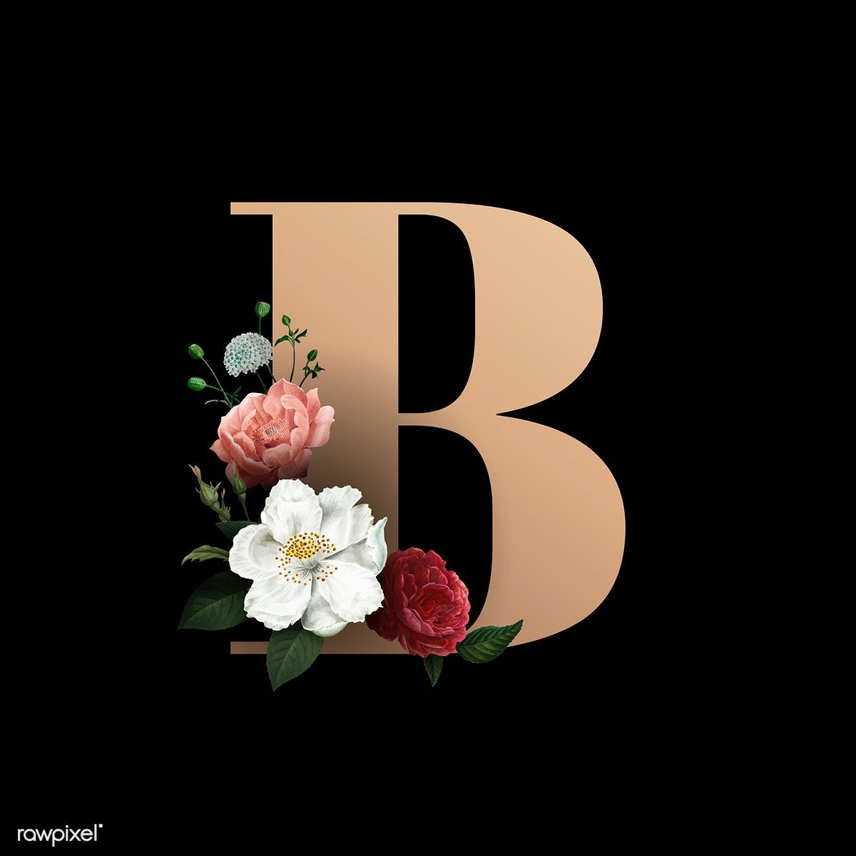 Cute Letter B Wallpapers